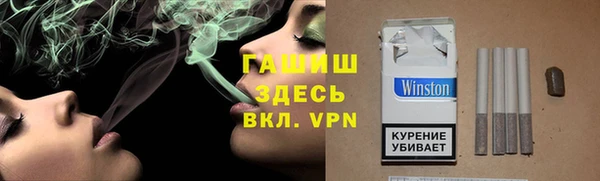 стаф Вязьма