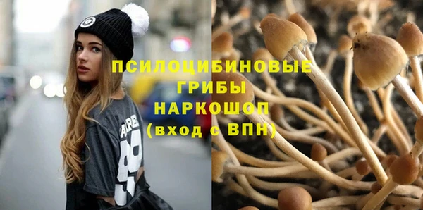 бутират Покров